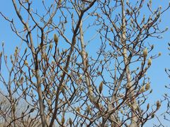 -永定河休闲森林公园