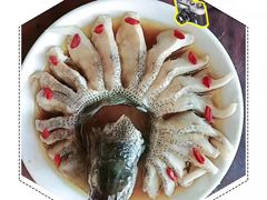 -大班家政月嫂育儿嫂(总部店)