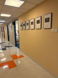 -杭州贝瑞斯美华妇儿医院·早孕·产检·儿科