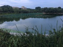 -南京邮电大学(仙林校区)