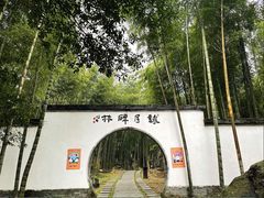 -明月山风景名胜区