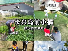 -前小桔亲子创意农场·草莓采摘·露营烧烤