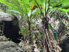 -七仙岭温泉国家森林公园