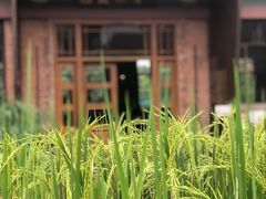 -华农酸奶文化馆