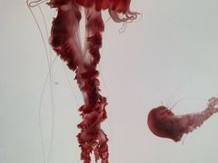 -沈阳海洋探索中心