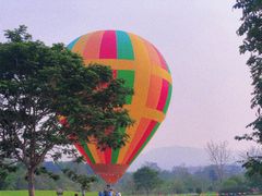 -中国科学院西双版纳热带植物园