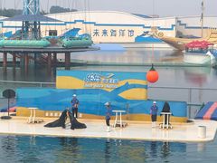 -秦皇岛乐岛海洋王国