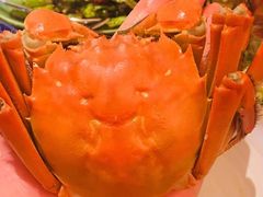 -君悦酒店·1881·北京烤鸭