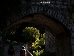 -广州市帽峰山景区