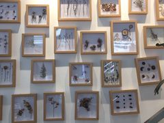 -植物学家的女儿(北马道巷店)