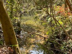 -雁荡山三折瀑景区