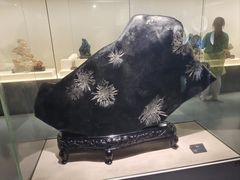 -安徽省地质博物馆