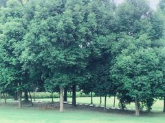 -中国天府农业博览园