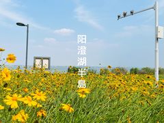 -阳澄湖半岛旅游度假区
