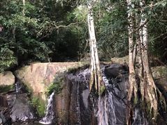 -呀诺达热带雨林