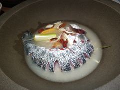 -咕嘟草帽鱼·牛奶一样的鲜鱼汤(包河万达广场创始店)