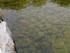 -三亚亚龙湾凯莱仙人掌度假酒店