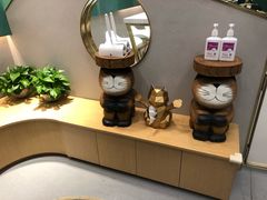 -飞行喵MR PILOT|猫舍·猫咖(静安大融城店)