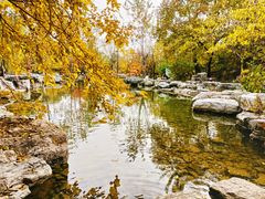 -周口店北京人遗址公园