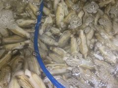 -鑫渔港海鲜本地菜·山海关浑锅(东戴河店)