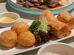 -金燕岛潮州酒楼