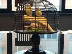 餐具摆设-马仕玖煲·融合菜·酥不腻烤鸭(人大店)