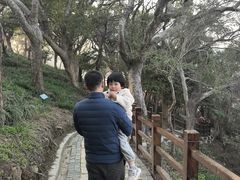 -平湖九龙山旅游度假区