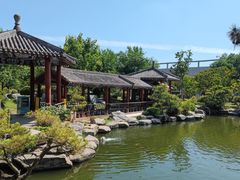 -中国唐苑