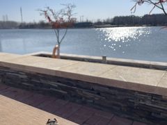-桃花岛公园