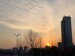 -天鹅湖体育公园