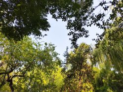 -今日陶艺(富力广场店)