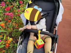 -永定河休闲森林公园