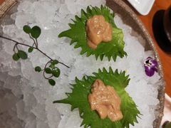 -月龍吟(朝龙汇店)