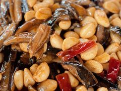 -月圆霖特色农家乐