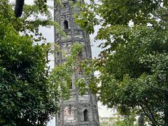 -上海佘山国家森林公园天马山园