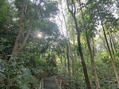 -广州市帽峰山景区