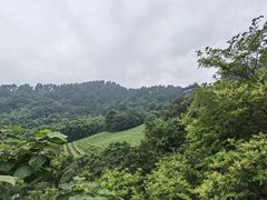 -敬亭山风景名胜区