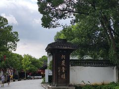 -鲁镇