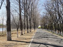 -东郊湿地公园