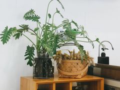 -灶咖KITCHEN