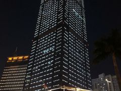 -地王国际商会中心