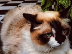 -seeu coffee(江滩店)