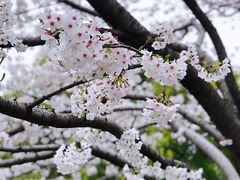 -上海体育场(地铁站)