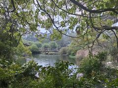 -贵阳市花溪国家城市湿地公园