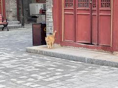 -荣国府