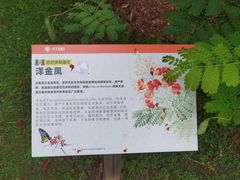 -中国科学院西双版纳热带植物园
