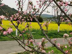 -南北湖风景区
