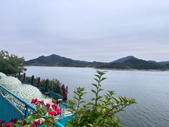 -望湖烤鱼