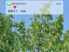 -尚贤河湿地