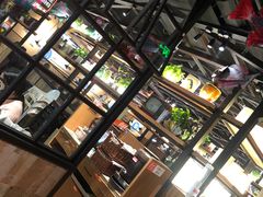 -探鱼·鲜青椒爽麻烤鱼(北京路天河城店)